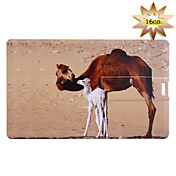 usb tarjeta de moda en forma de unidad de 2,0 (16 GB)