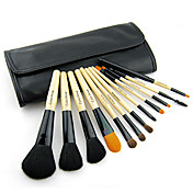 Color Shine-set di lana di alta qualità pennello (12pcs)