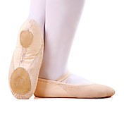 Canvas Flats Ballet Dance Performance Shoes For Women (More Colors Available)