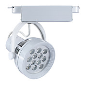 1W LED Track Light with 12 Lights in White