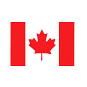 10 pezzi canada sticker tattoo temporanee,