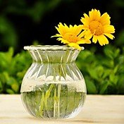 elegante florero de vidrio