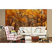 Forest Contemporary Graphics Nature Mural