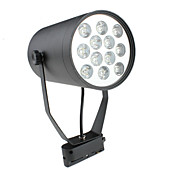 12w 1080-1200lm 3000-3500K warmes weißes Licht LED Strahler Birne Track-Lampe (85-265V)