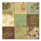 Printed Botanical Canvas Art with Stretched Frame