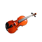 violintine - (V31) 4/4 di livello professionale violino in abete massello con custodia / prua