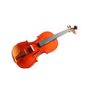 violintine - (v. 27) 4/4 di livello professionale violino in abete massello con custodia / prua