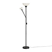 Comtemporary Floor Lights with 2 Lights in Bowl Design