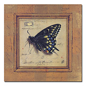 Illustratie op gespannen doek Prints Animal 24 "x 24"