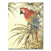 Illustration Stretched Canvas Prints Animal 20" x 24" Tall