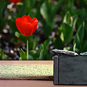 Red Tulip Floral Nature Mural