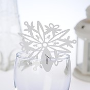 Diseño hermoso Snow Place Card (Juego de 12)