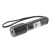 Flashlight Shaped 5mW 405nm Green Laser Pointer Set (1x16340, 1xCR123A)