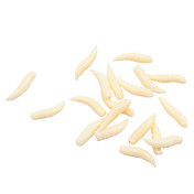 Flavorous Tenebrio Molitor esca morbida (20 pezzi / sacco)