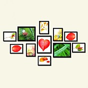 Carta da Collezione Frame-Set di 11 PS-11