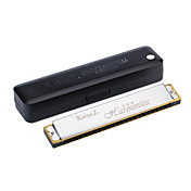 Kaine - (K2401) Tremolo Harmonica 24 Holes/24 Tones