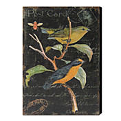 Stretched Linen Prints Vintage Animal Bird 1212-0134