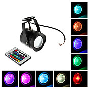 Waterproof 10W RGB Licht Remote Controlled LED Spot Lampe (12V)