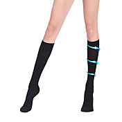 480D Sheer Nylon Tights