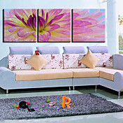 Stretched Canvas Print Botanical Floral Set of 3 1301-0151