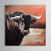 Hand Painted Oliemaleri Animal Bull 1303-AN0064