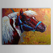 Hand Painted Oliemaleri Animal Horse 1304-AN0078