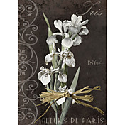 אמנות המודפסת פרחונית fleurs de Paris שנייה לפי צבע מאפייה