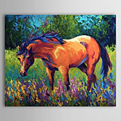 Hand Painted Oliemaleri Animal Horse 1304-AN0072