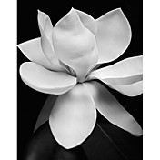 Printed Art Floral Magnolia by Michael Harrison