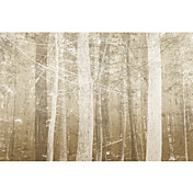 gedruckt Kunstlandschaft forest mist by pela + silverman