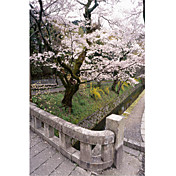 Printed Art Landscape Governor's Walk #2 by Monte Nagler