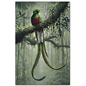 Gedruckt Kunst Tiere Quetzal 2 von Harro Maass