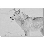 Printed Art Animal White Wolf 2 by Gordon Semmens