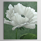 Dipinti a mano olio pittura floreale 1305-FL0124