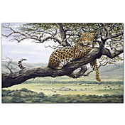 Gedruckt Kunst Tiere Leopard von Harro Maass