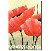 Printed Canvas Art Floral Red Pettal by Kris Klejnot with Stretched Frame