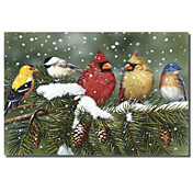 Printed Canvas Art Animal Backyard Birds On Snowy  by William Vanderdasson with Stretched Frame