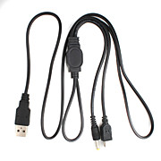  2-in-1 USB 2.0 Datenkabel für PSP
