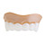  diente de goma horribles + dedo fijado para Halloween (5-piece set)