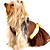  My Baby Pet Dog Dress (0775-060)