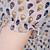  Half Sleeves Round Neckline Skeleton Printed Chiffons Women's Dresses(1802BC002-0826)
