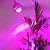  6.5W LED Grow Light with NASA Red and Blue Color