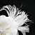  satinado con magníficas plumas / flor de la boda de diamante de imitación de novia / casco (0986-112821)
