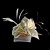  Beautiful Fascinator With Feather Weddding/ Partying/ Honeymoon Headdress Flower