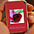  1.5" LCD Digital USB Photo Frame Keychain - Pink