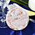  Personalized Coasters - Pink Rose (set of 4)
