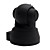  Wired and Wireless P/T Dome IP Camera with Night Vision + Motion Detection