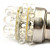  21-LED White  Bulbs (2pcs,24V)