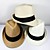  kleine fedora strooien hoed (meer kleuren)