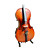  fatto a mano abete violoncello satinato solido con supporto